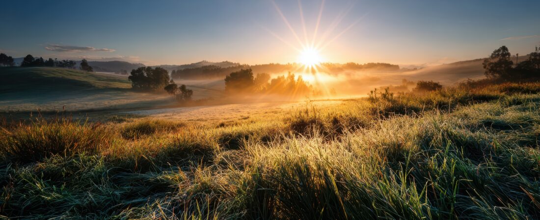 Healing After Separation: Where Do I Begin?